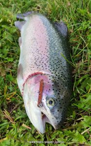 Zrada Long колір -  коричневий. Імітація хробака - якого так любить форель