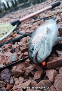 Колір - помаранчевий пелетс. Коли треба здивувати форель