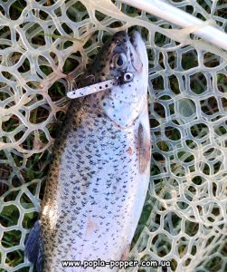 Zrada Long колір - сріблястий. Чудова імітація малька.